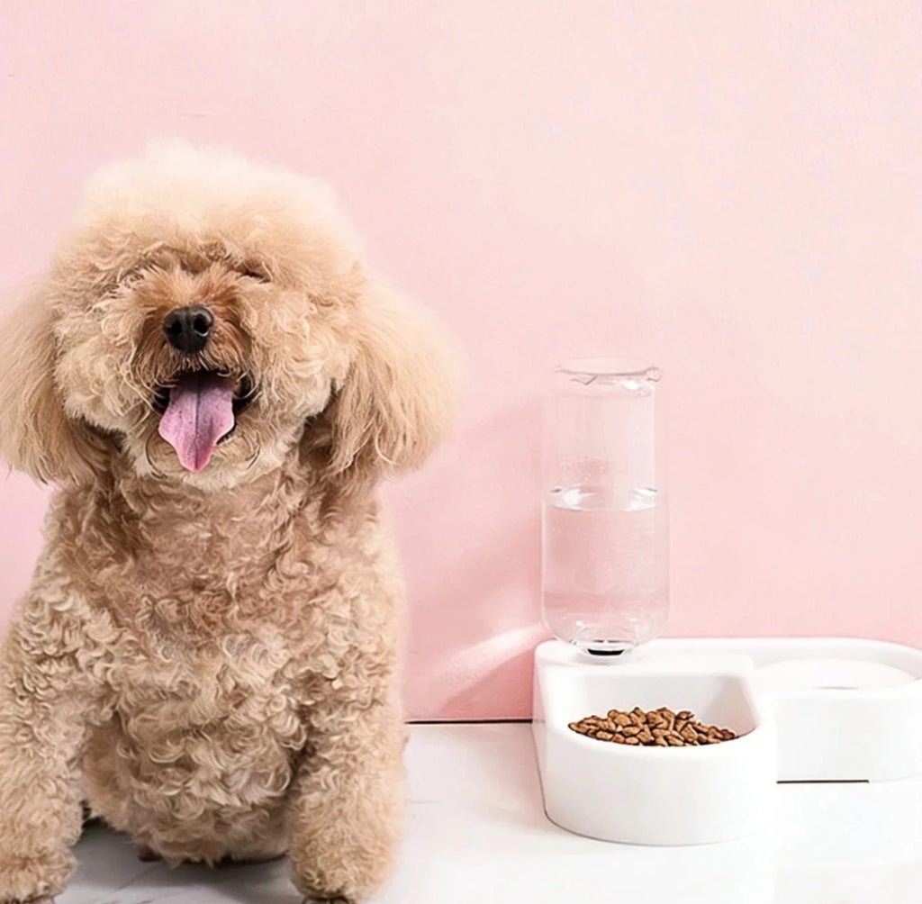 Comedouro Duplo de Plástico para Cães e Gatos Tigela de Ração e Água para Pets de Pequeno Porte