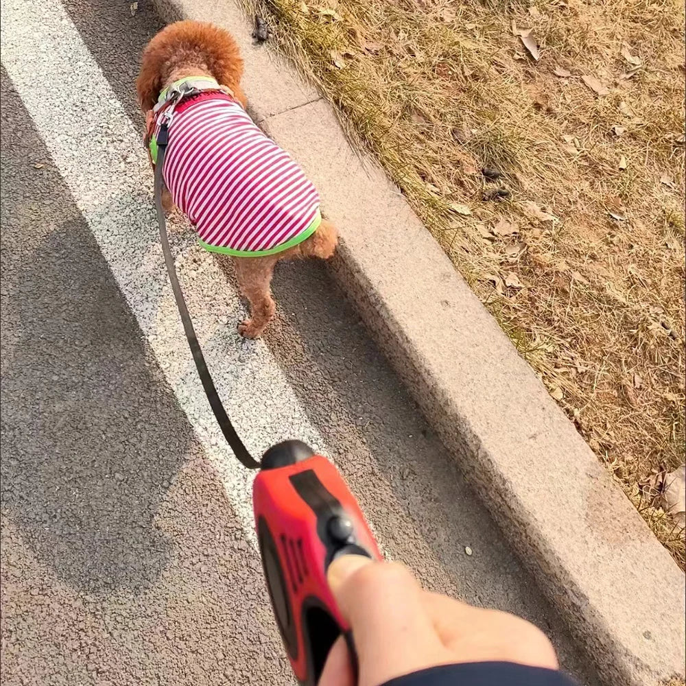 Guia Retrátil para Cães e Gatos em Nylon 3m e 5m com Liberação Rápida para Passeios